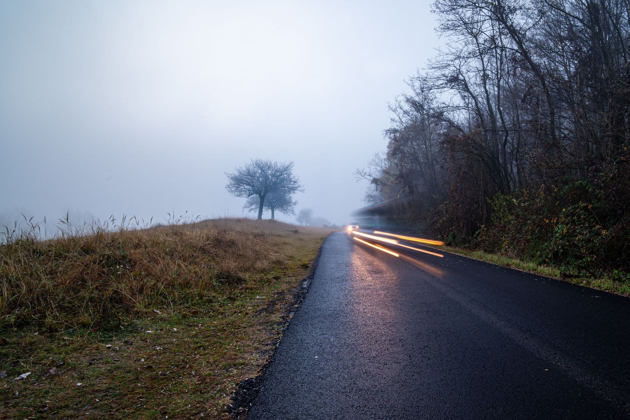 A wet country road at dusk running into fog, with the light trails of a passing car