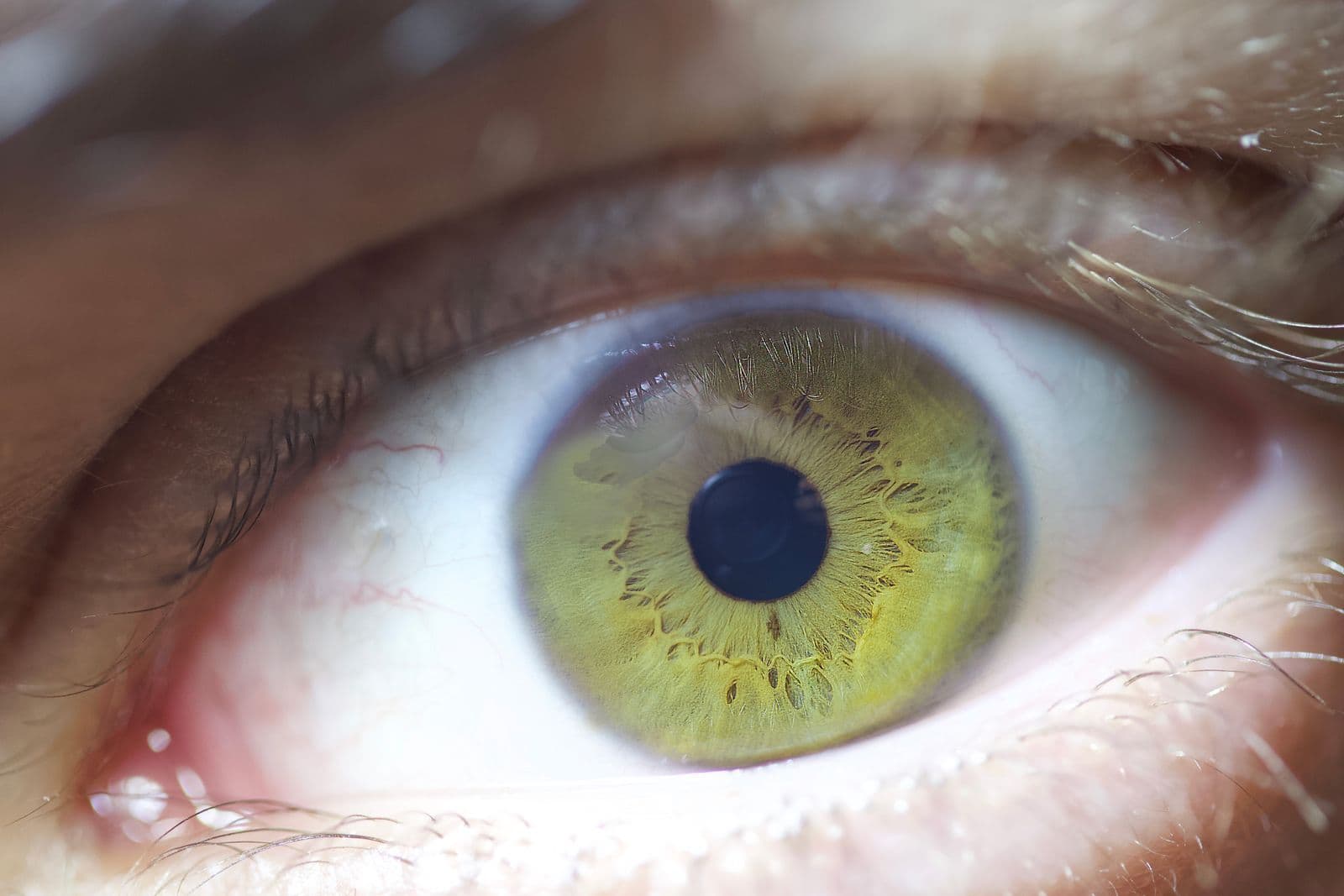 Close-up of a green human eye in soft light