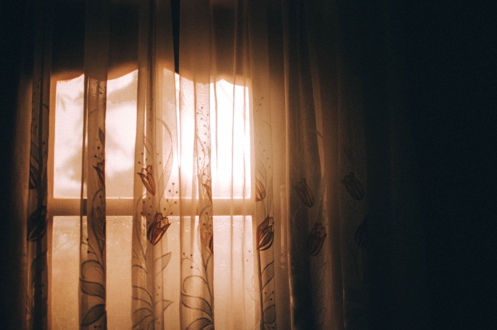 Warm morning sunlight glowing through sheer window curtains