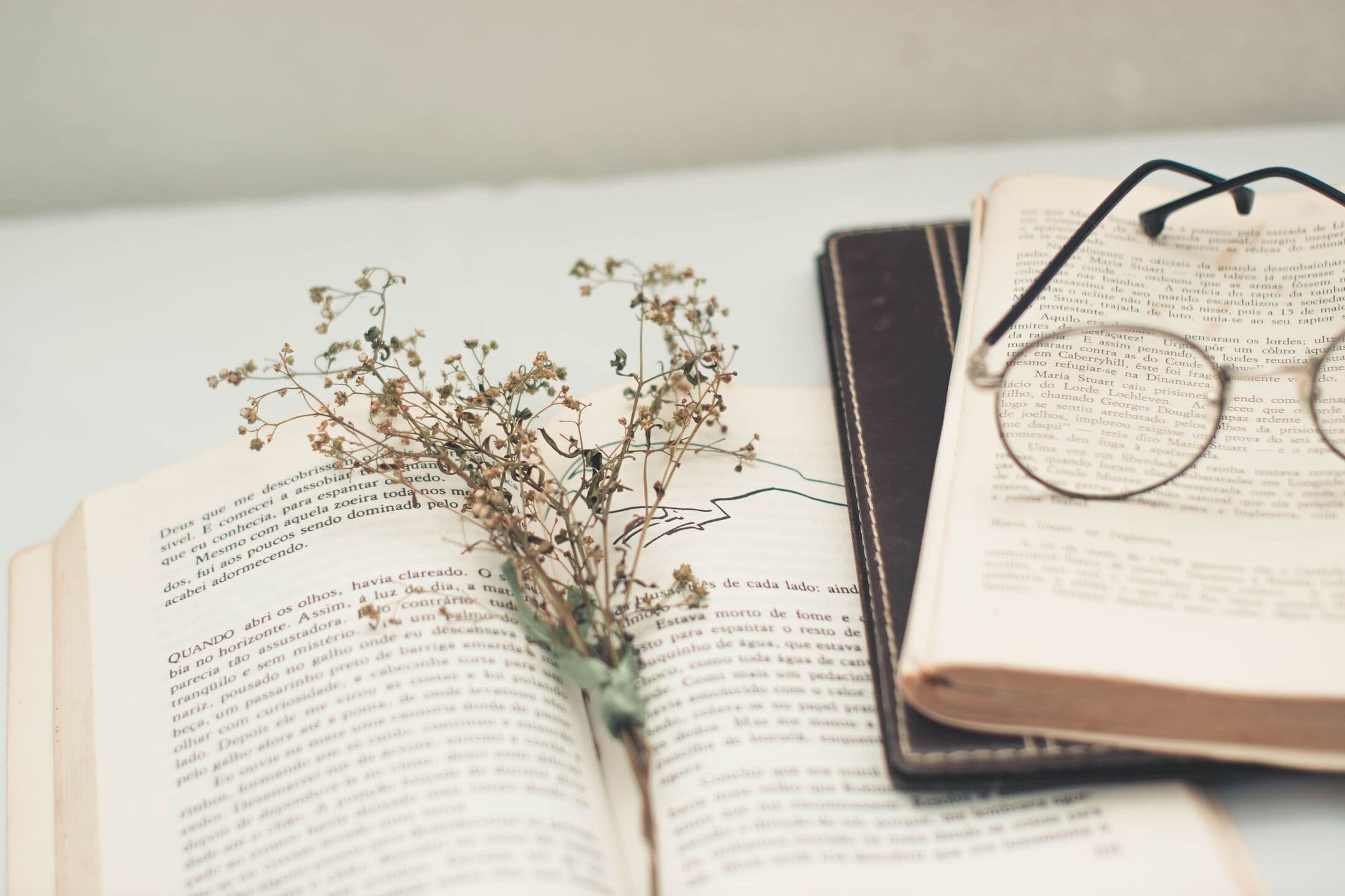 Round wire reading glasses resting on an open book beside a sprig of dried flowers
