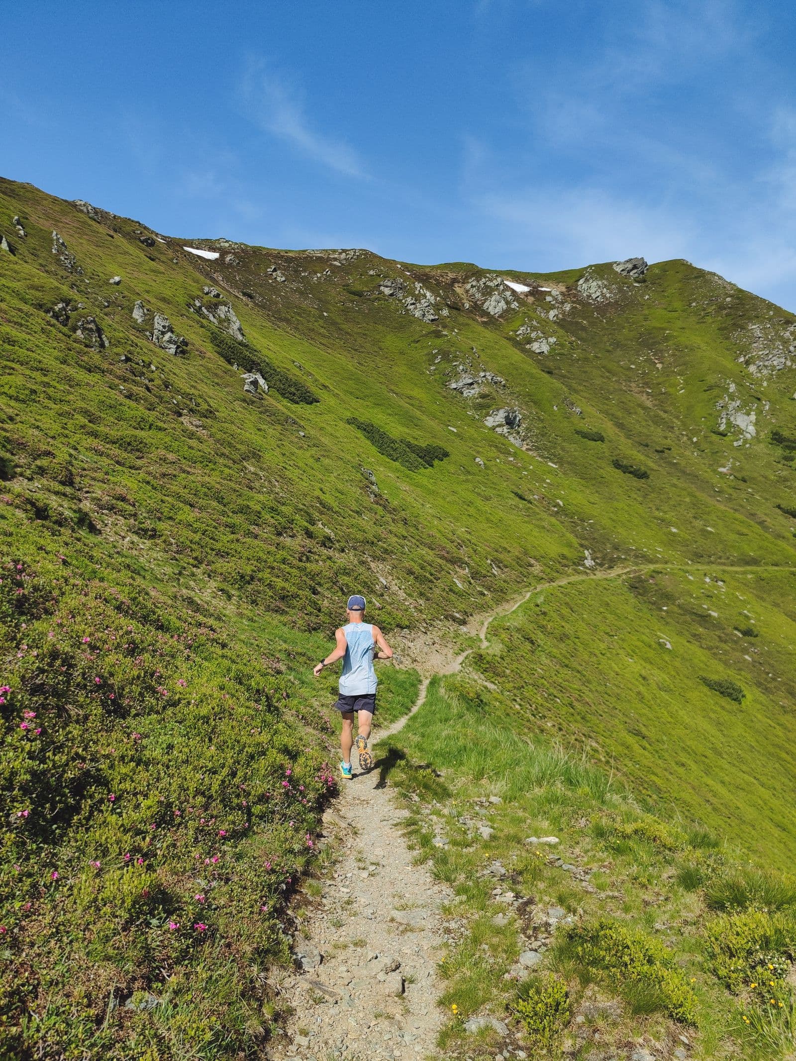 Trail runner on a narrow path across a green mountainside