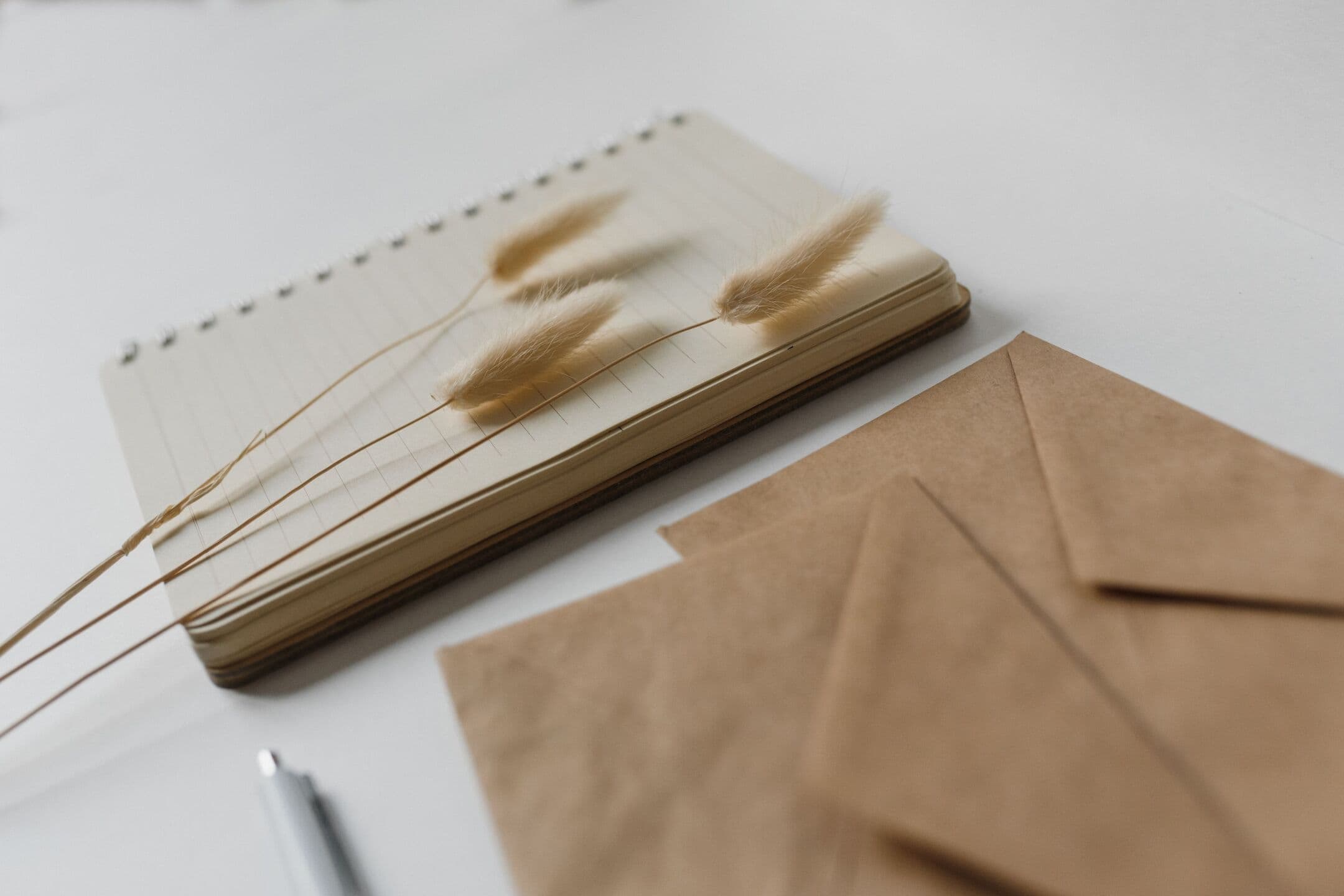 An open spiral notebook with dried bunny tail grass across it, beside kraft paper envelopes and a pen on a white table