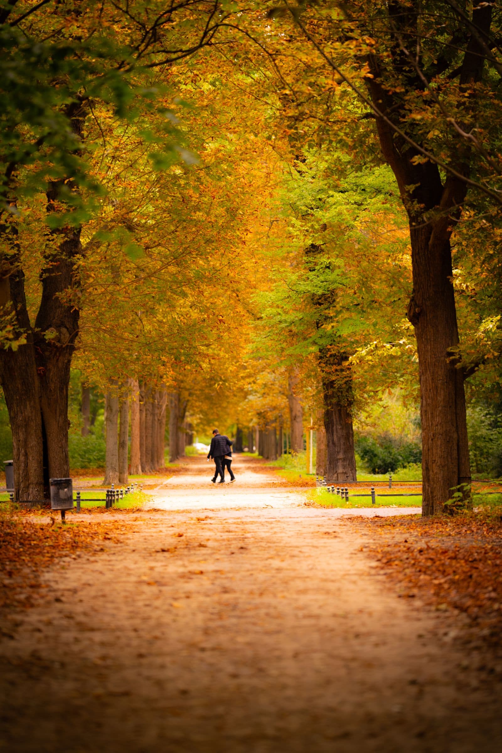 Couple walking together down a tree-lined park path in autumn