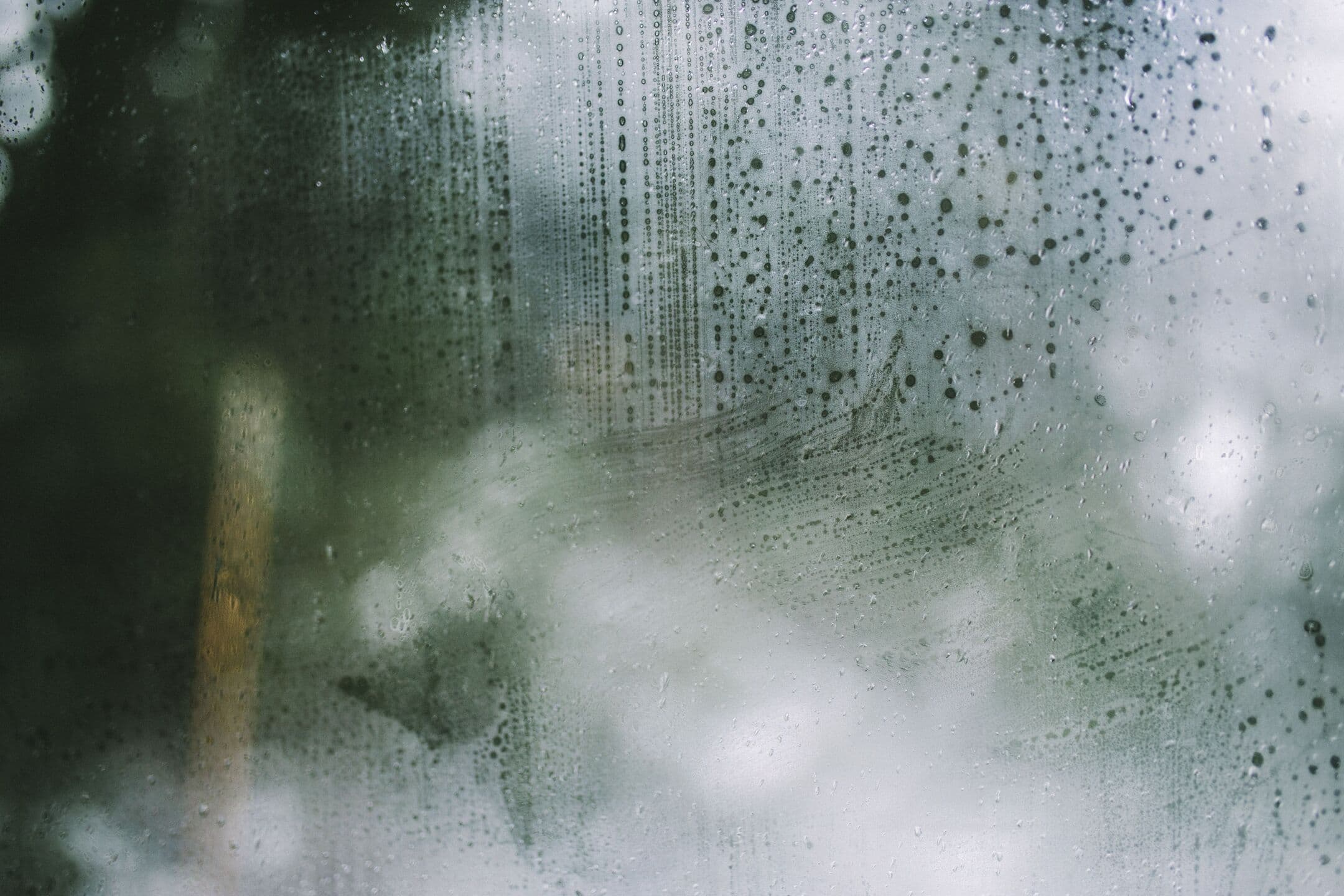 Condensation on a window pane, one streak half wiped away, with blurred green trees behind the glass