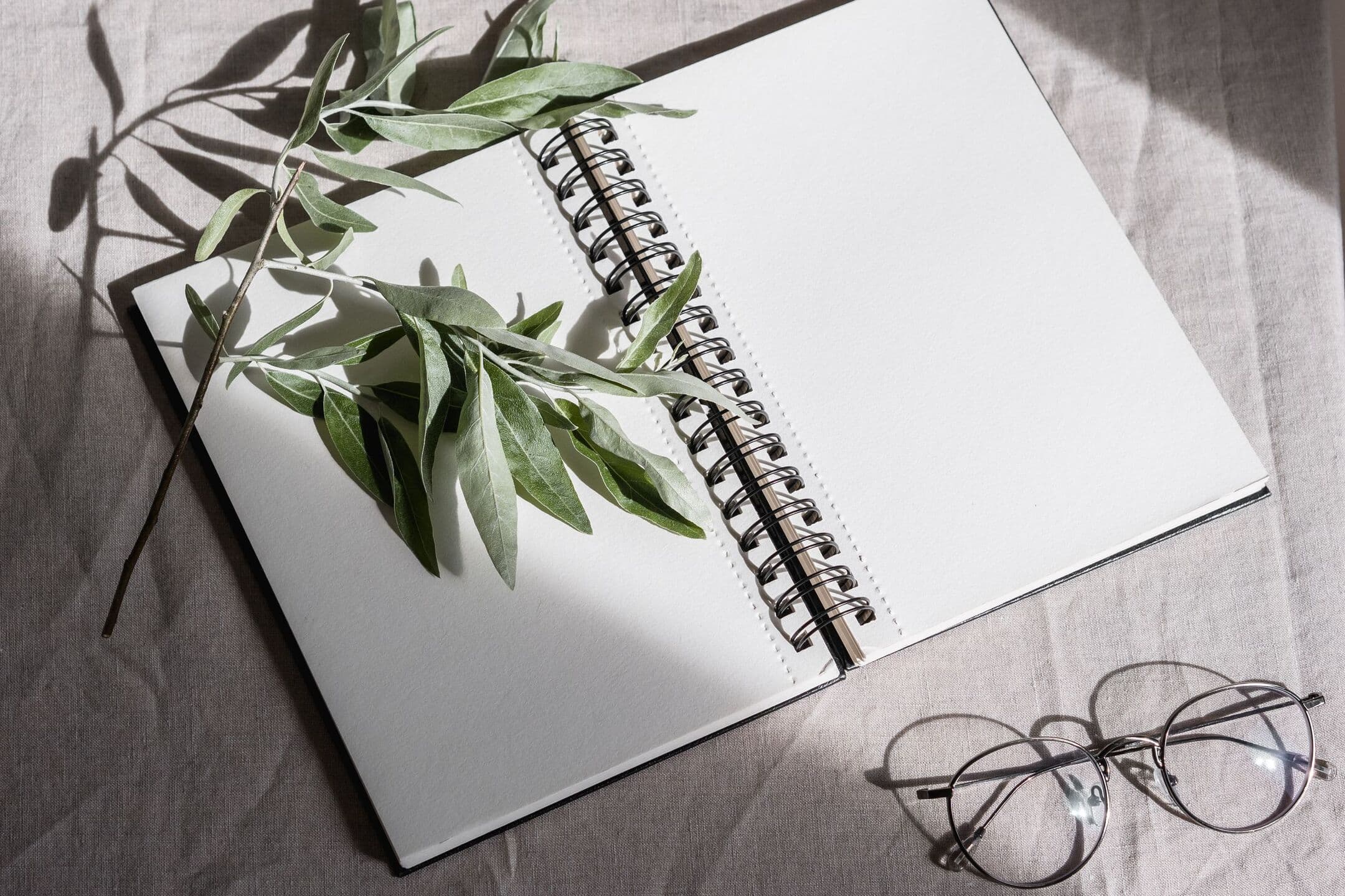 An open blank notebook on grey linen with an olive branch across it and wire glasses beside it